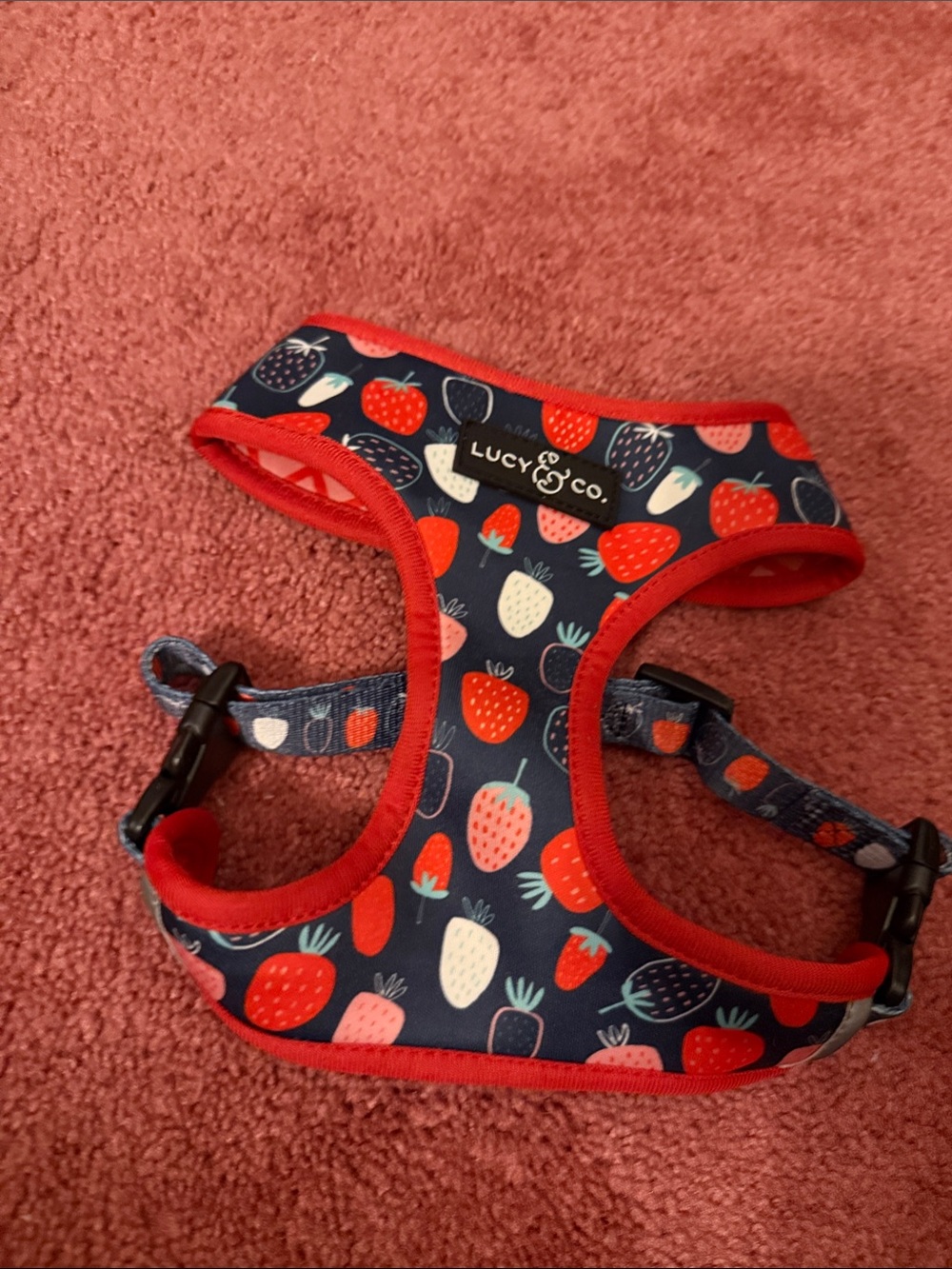 Lucy & Co Strawberry Print Dog Harness - Size Medium
